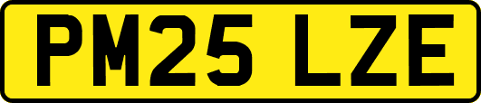 PM25LZE