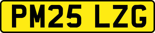 PM25LZG