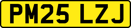 PM25LZJ