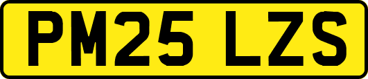 PM25LZS