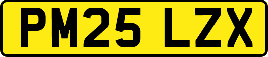 PM25LZX
