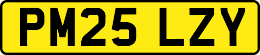 PM25LZY