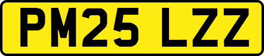 PM25LZZ