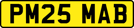PM25MAB