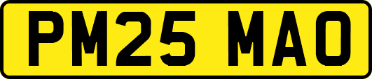 PM25MAO