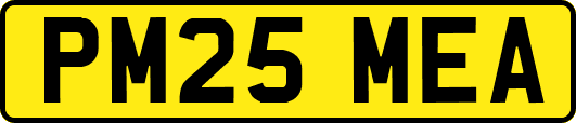 PM25MEA
