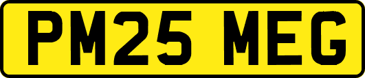 PM25MEG