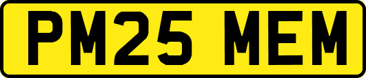 PM25MEM