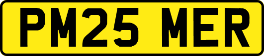PM25MER