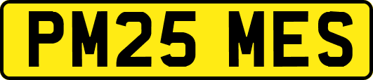 PM25MES