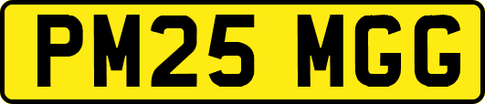PM25MGG