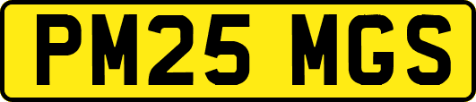 PM25MGS