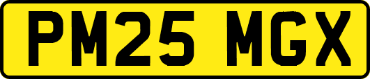 PM25MGX