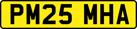 PM25MHA