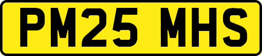 PM25MHS