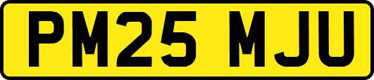 PM25MJU