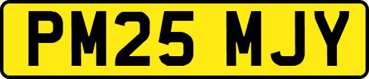 PM25MJY