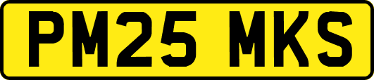 PM25MKS
