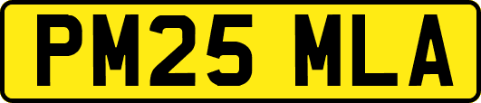 PM25MLA