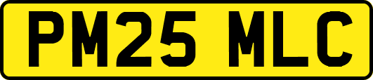 PM25MLC