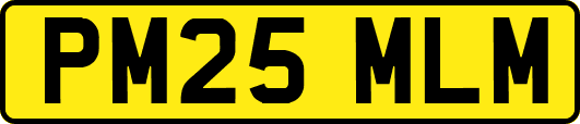 PM25MLM