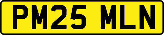 PM25MLN