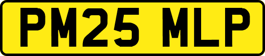 PM25MLP