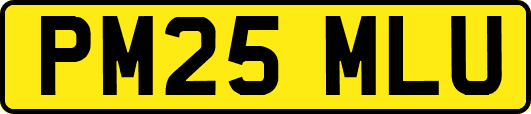 PM25MLU