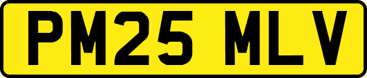PM25MLV