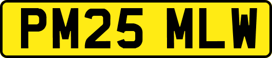 PM25MLW