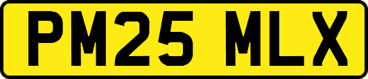 PM25MLX
