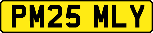 PM25MLY