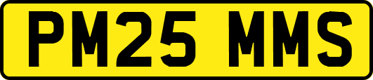 PM25MMS