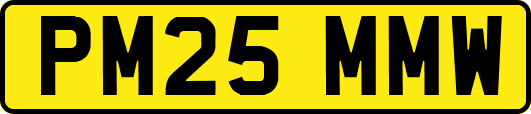 PM25MMW