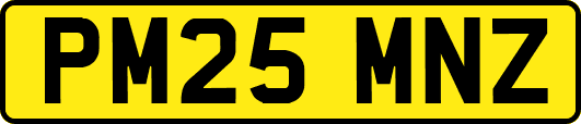 PM25MNZ