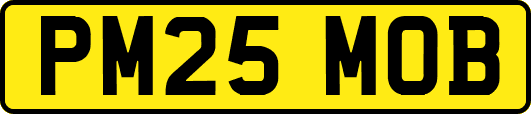 PM25MOB