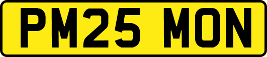 PM25MON