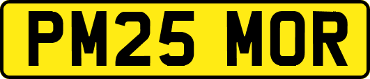 PM25MOR