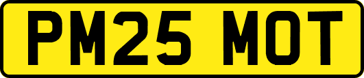 PM25MOT