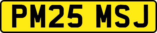 PM25MSJ