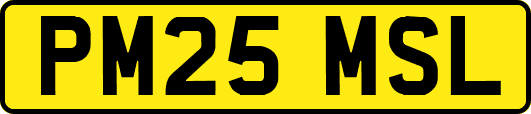PM25MSL