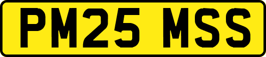PM25MSS