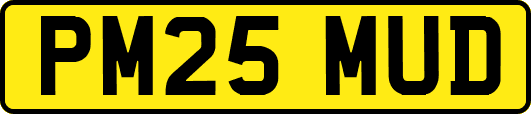 PM25MUD