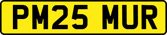PM25MUR