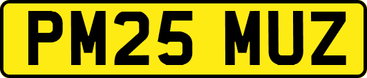 PM25MUZ