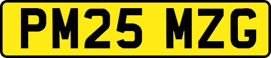 PM25MZG