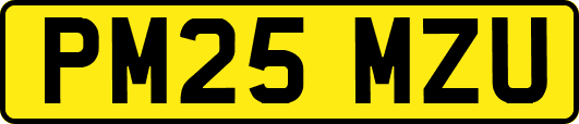 PM25MZU