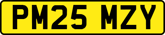 PM25MZY