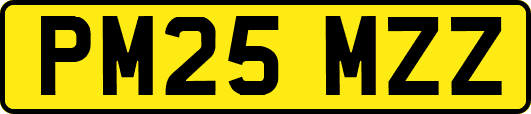 PM25MZZ