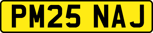 PM25NAJ